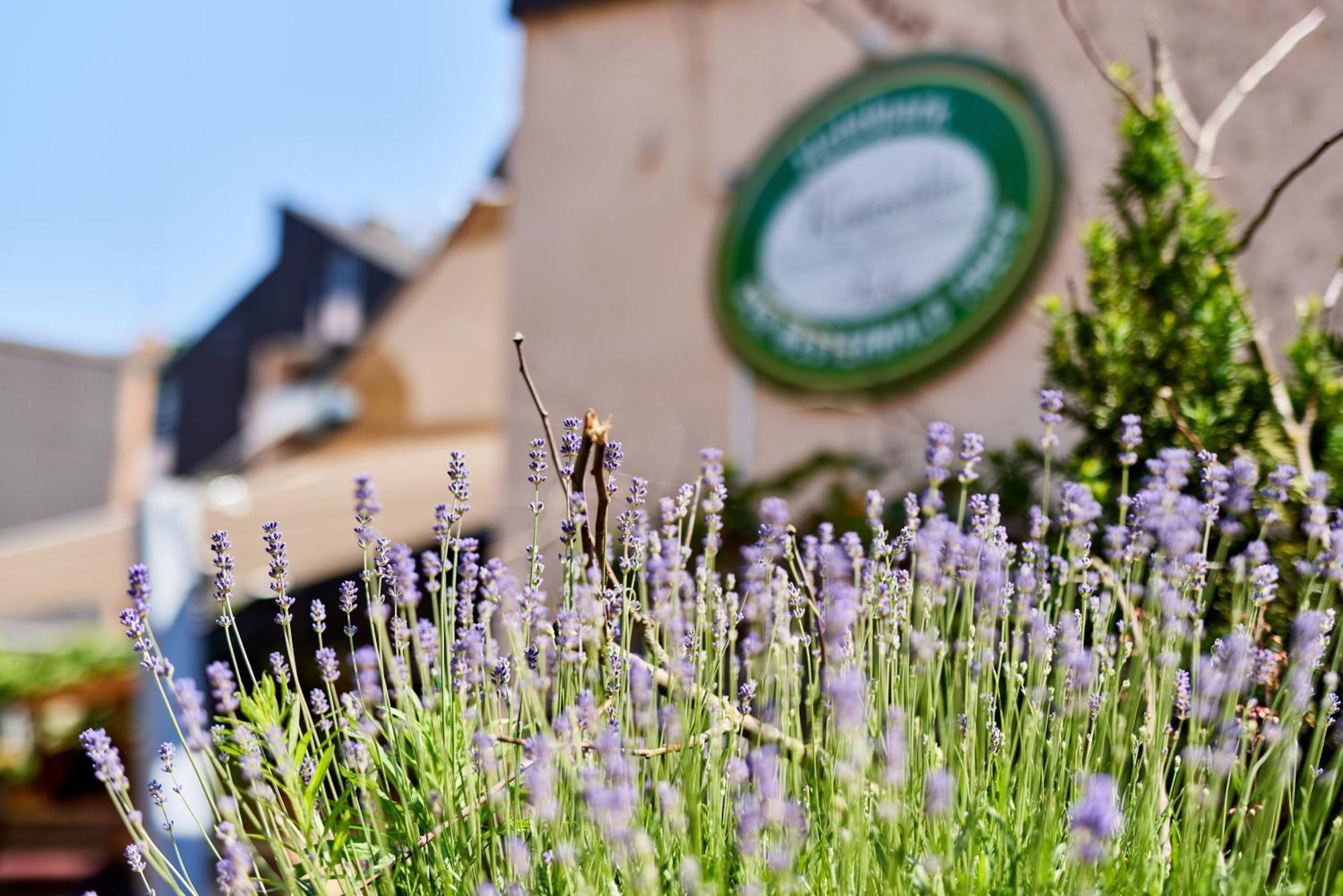 Hotelpark Der Westerwald Treff Oberlahr Luaran gambar